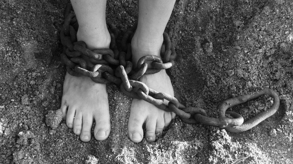 Mandato di Arresto e Divieto Tortura