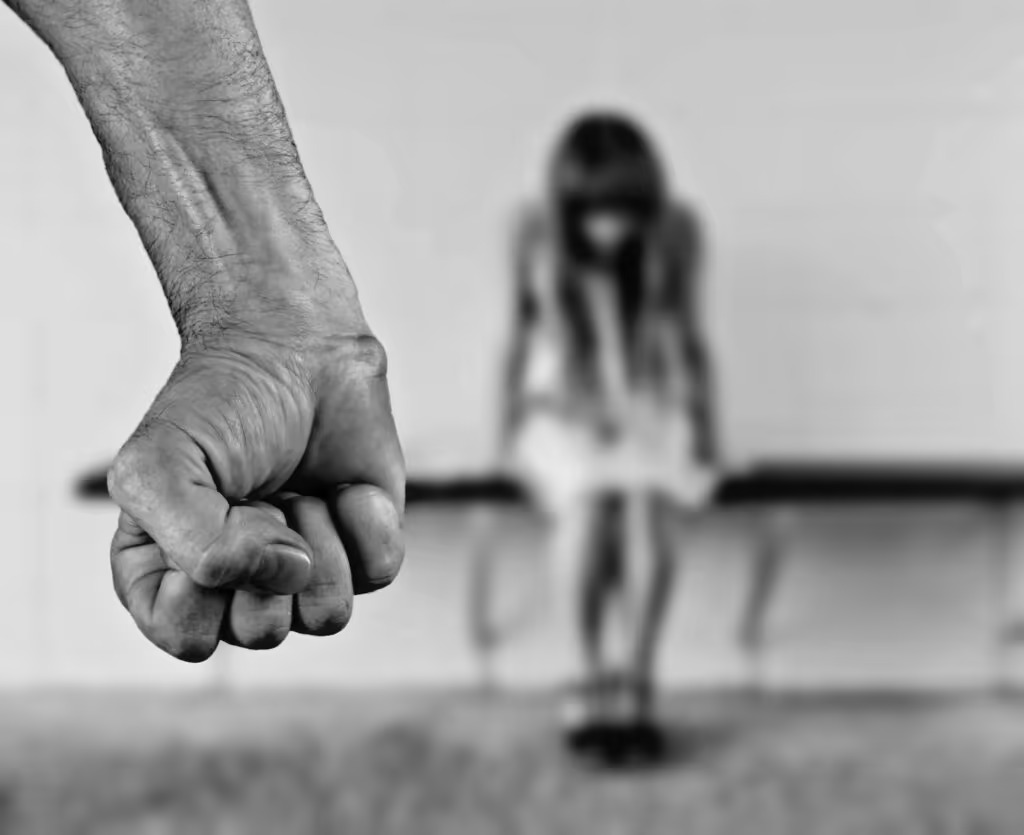 Maltrattamenti in Famiglia: assistito scarcerato dopo il suo arresto