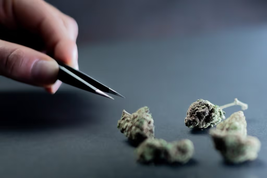 Processo per Droga: assoluzione per un nostro assistito